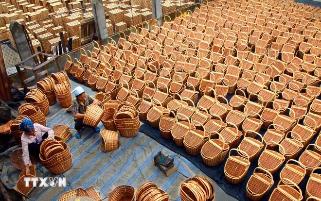 Fabricación de productos de bambú y ratán para exportación en el distrito de Phu Xuyen, Hanói. (Foto: VNA) Fabricación de productos de bambú y ratán para exportación en el distrito de Phu Xuyen, Hanói. (Foto: VNA)