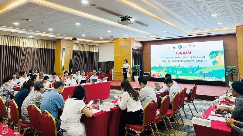 Escena del evento (Foto: Administración Nacional de Turismo de Vietnam)