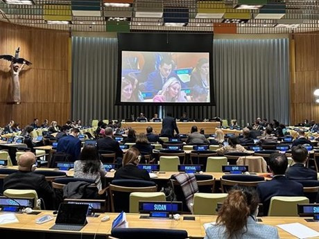 El embajador y jefe de la misión vietnamita ante la Organización de Naciones Unidas (ONU), Dang Hoang Giang, en la sesión (Fotografía: VNA)