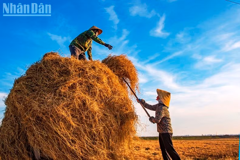 ...y recogiendo todos los frutos de una temporada dorada.