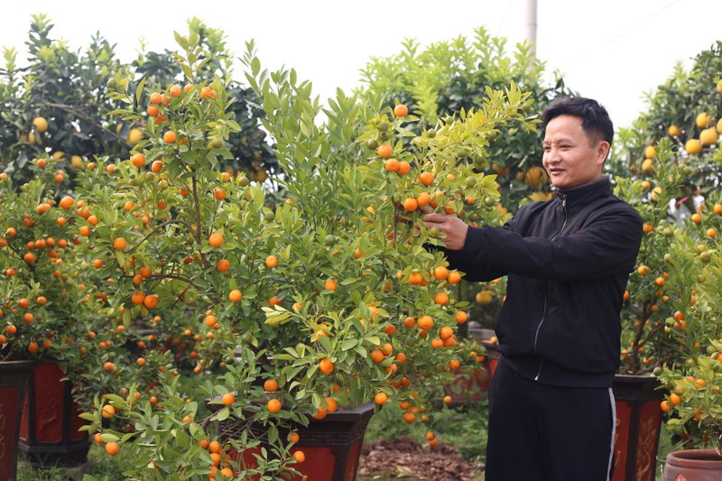 (Foto: hanoimoi.com.vn)