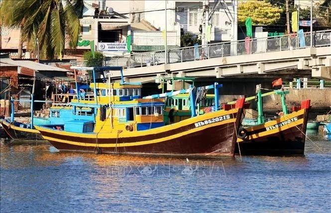 Los barcos pesqueros de Binh Thuan anclados en el río Ca Ty. (Foto: VNA)