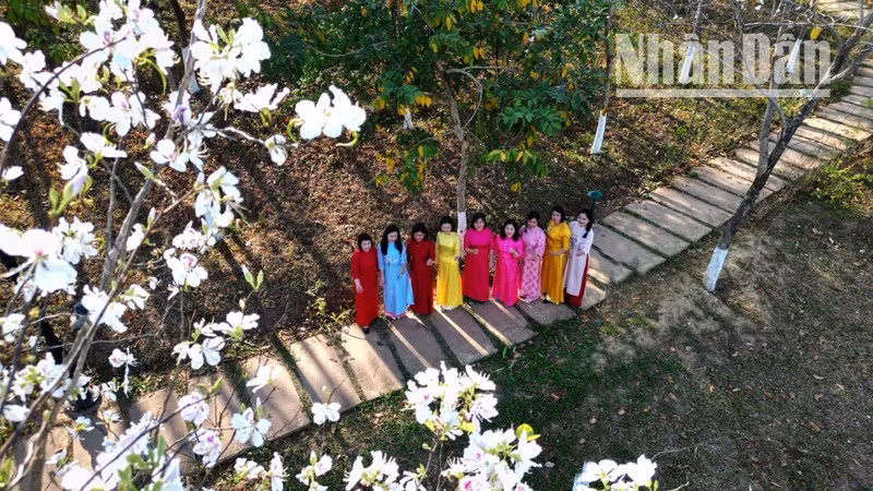 Esta es también una oportunidad para que los amantes de esta flor conserven bellos momentos.