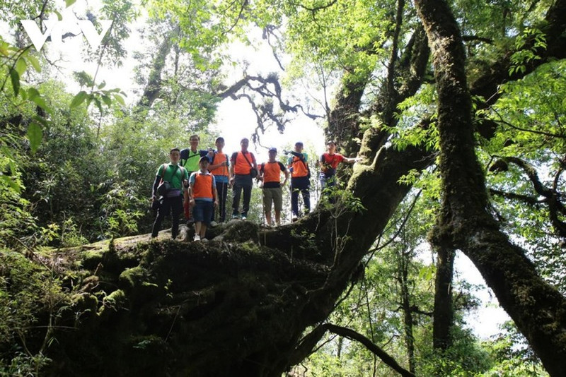 El senderismo en Lai Chau atrae muchos turistas (Foto: VNA)