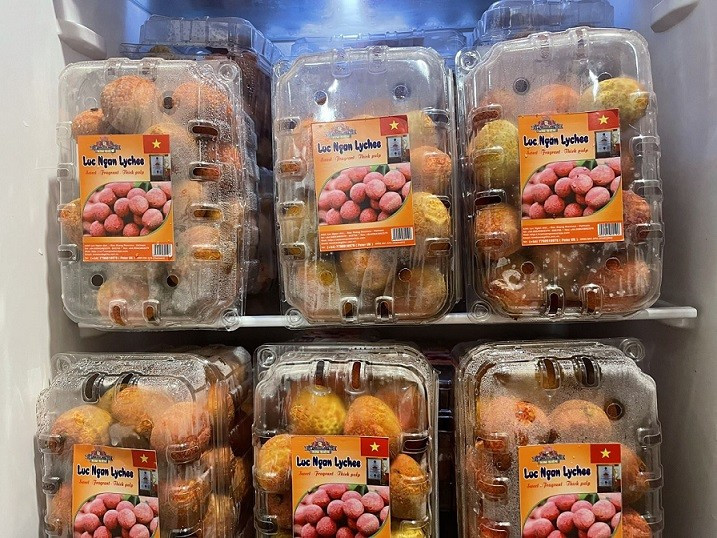 (Foto: baoquocte.vn)