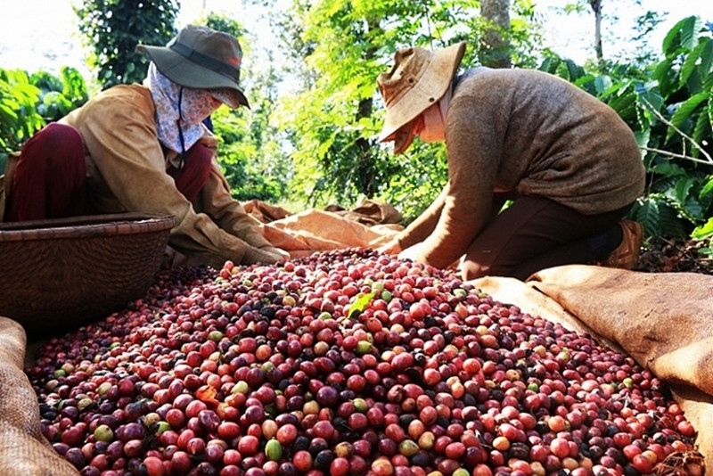 Foto de ilustración. (Fuente: haiquanonline.com.vn)