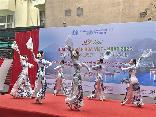 Una presentación artística en el festival. (Fotografía: baovanhoa.vn)