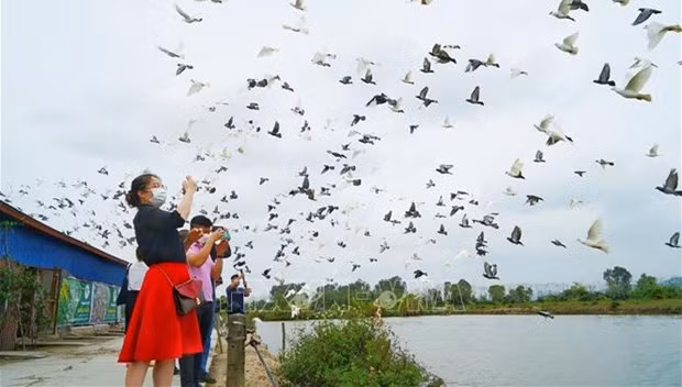 Visitantes a la ciudad de Hai Phong. (Fotografía: VNA)
