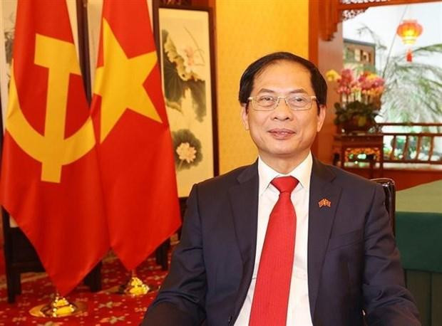 El ministro de Relaciones Exteriores de Vietnam, Bui Thanh Son. (Fotografía: VNA)