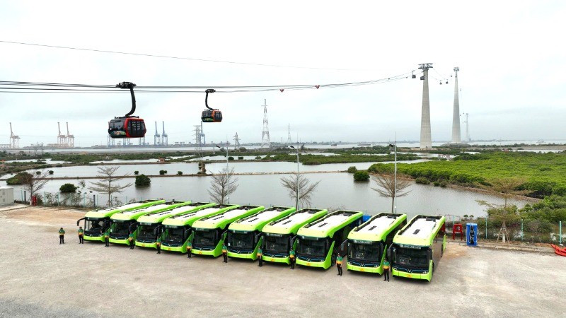 El transporte eléctrico gratuito para turistas en la isla de Cat Ba se despliega a partir del 18 de abril. (Fotografía: Nhan Dan)