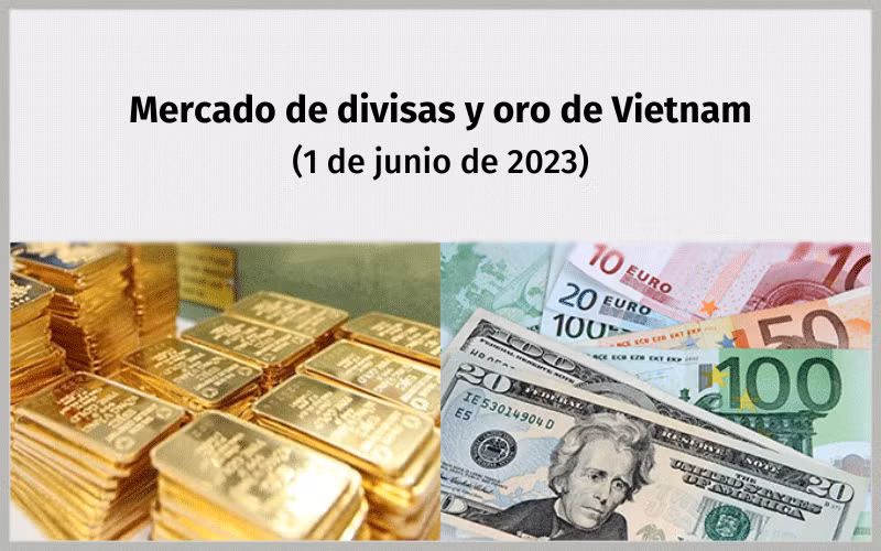 Infografía: Mercado de divisas y oro de Vietnam - 1 de junio de 2023