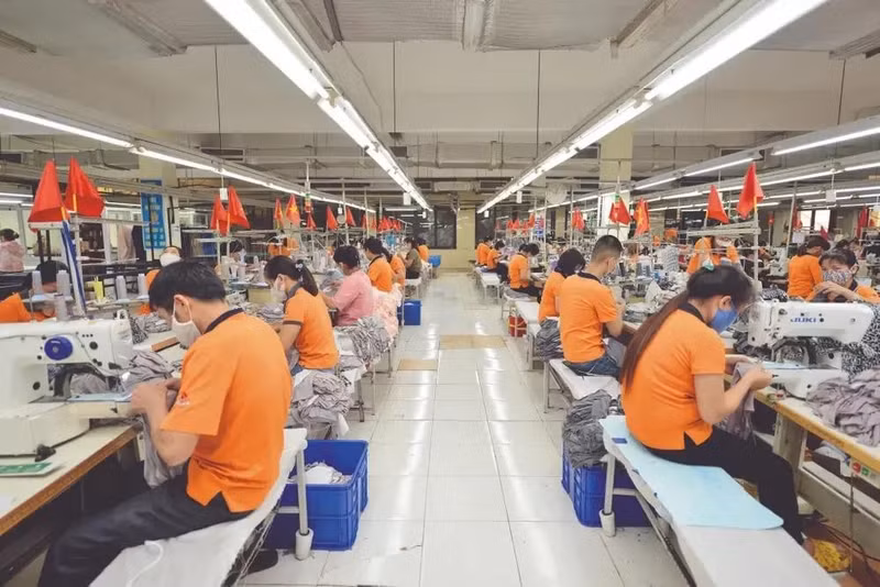 Las empresas aprovechan las oportunidades del mercado para impulsar las exportaciones. (Fotografía: VNA)