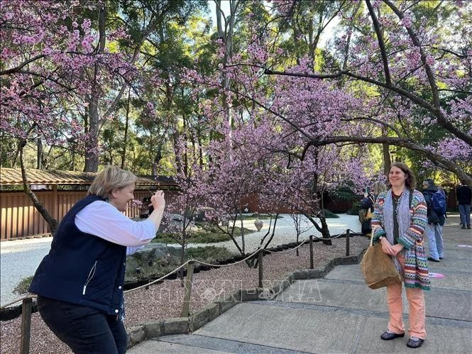 Vietnam es mercado emisor de más rápido crecimiento de turismo de Australia. (Fotografía: VNA)