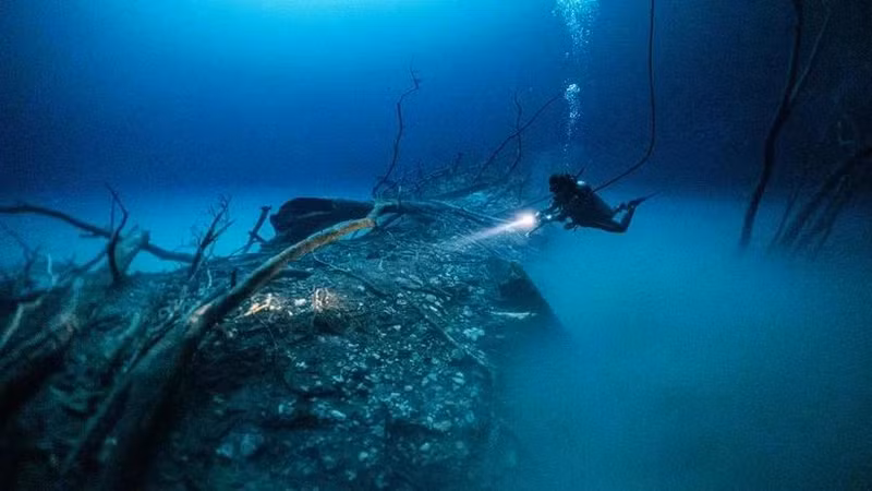 Foto de ilustración. (Fuente: VNA)