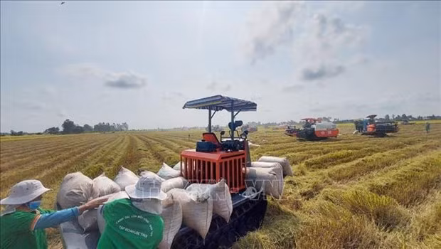 Foto de ilustración. (Fuente: VNA)