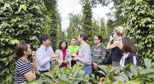 Representantes de la delegación de la UE en Vietnam, IDH y otros socios visitan la zona del proyecto en el distrito de Cu M'Gar. (Fotografía: VNA)