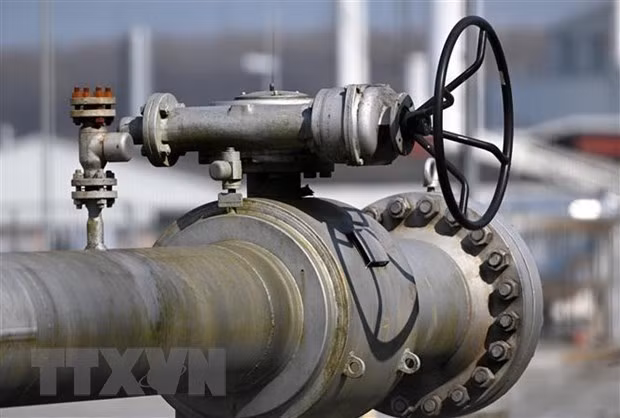 Foto de ilustración. (Fuente: AFP/VNA)