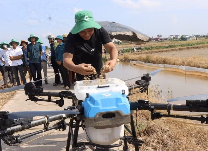 Agricultores de Bac Ninh se preparan para sembrar semillas de arroz utilizando drones.