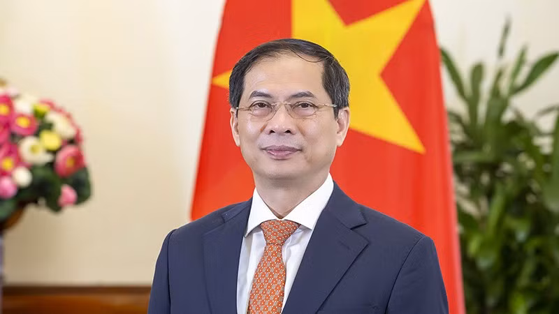 El ministro de Relaciones Exteriores de Vietnam, Bui Thanh Son. (Fotografía: Cancillería de Vietnam)