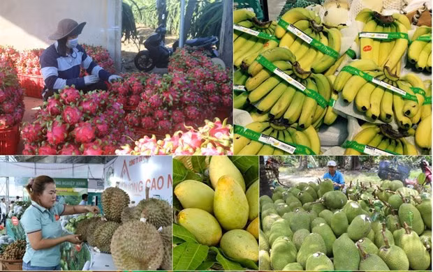 Foto de ilustración. (Fuente: VNA)