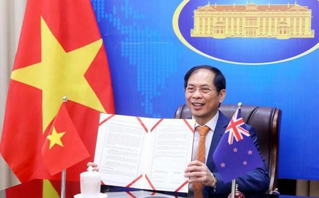 El canciller de Vietnam, Bui Thanh Son. (Fotografía: VNA)