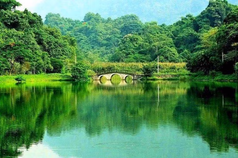 Un rincón del Parque Nacional de Cuc Phuong. (Fotografía: baodantoc.vn)