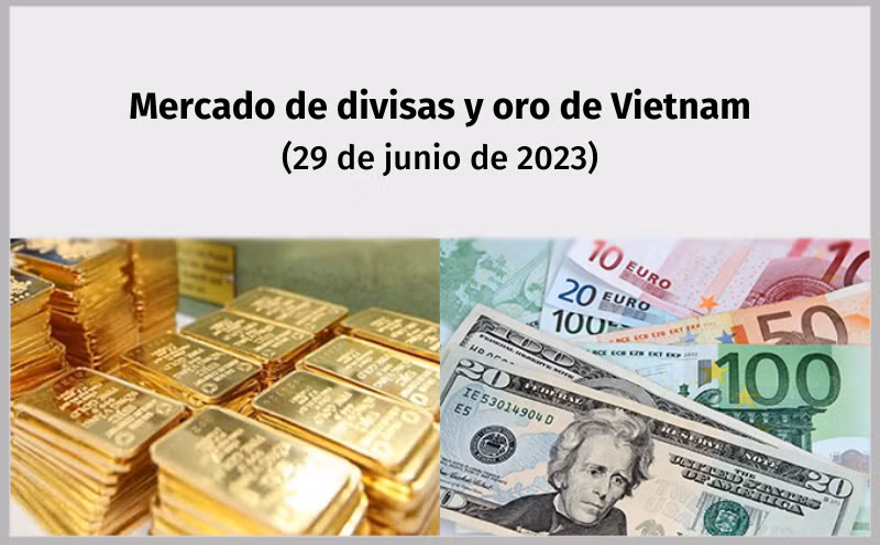 Infografía: Mercado de divisas y oro de Vietnam - 29 de junio de 2023