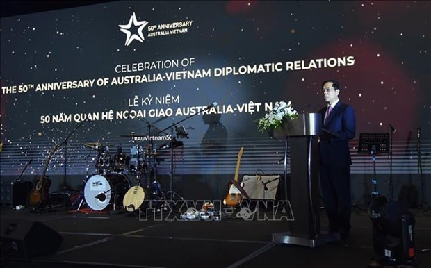 El canciller vietnamita Bui Thanh Son interviene en el evento. (Fotografía: VNA)