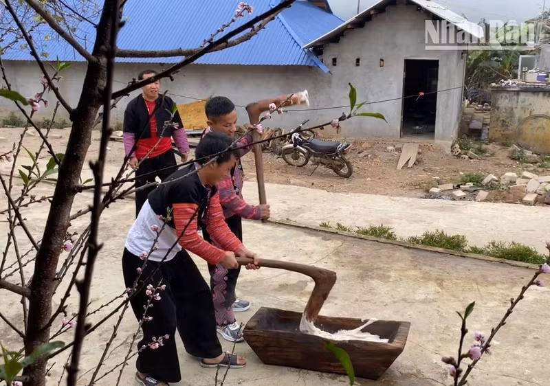 Estos compatriotas dedican el 30 de diciembre lunar a elaborar el “banh day” (pastel redondo de arroz glutinoso) utilizando arroz cultivado por ellos mismos. Desde la cocción al vapor del ingrediente y macerarlo hasta conseguir la masa apropiada para moldear se realiza a mano, dando como resultado pastelitos de un blanco inmaculado. El plato sabe mejor con melaza de caña de azúcar también casera.