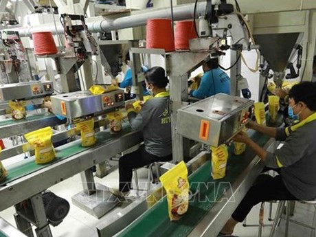 Exportaciones de arroz a Sudáfrica alcanzan 624 millones de dólares. (Fotografía: VNA)