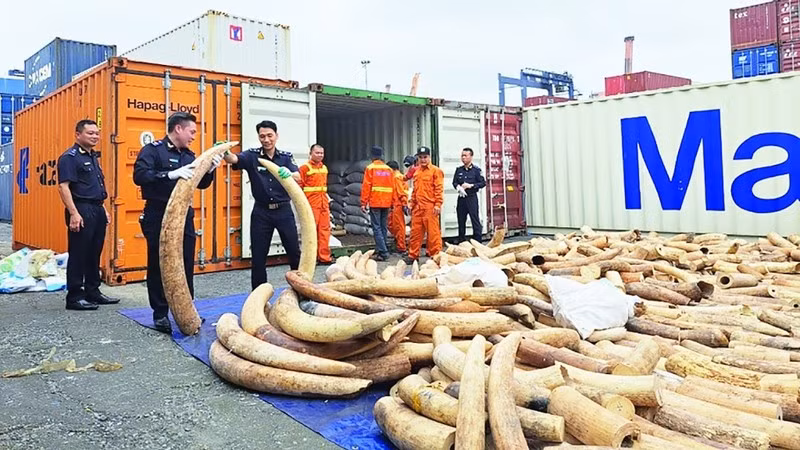 Foto de ilustración. (Fuente: Nhan Dan)