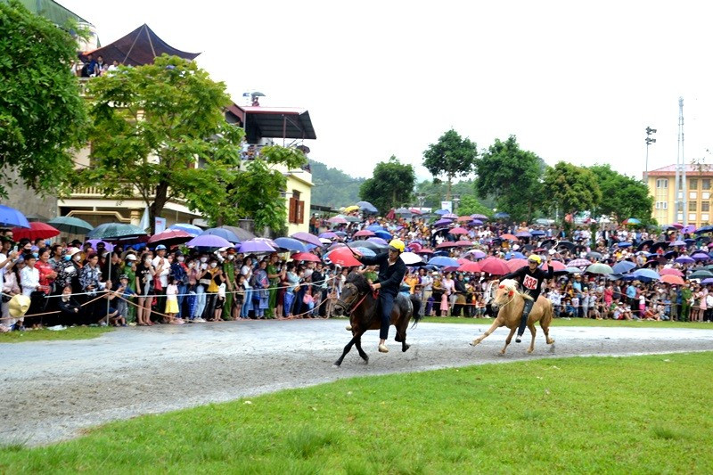 En la carrera de caballos. (Fotografía: Nhan Dan)