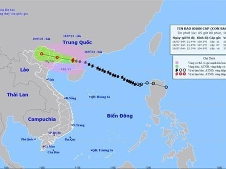 Tifón Talim se acerca a ciudad vietnamita de Mong Cai