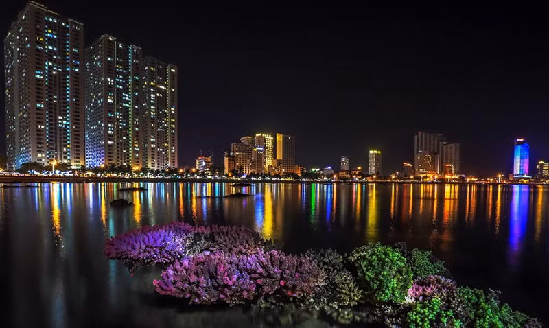 Hermoso bosque de coral en la ciudad costera vietnamita de Nha Trang.