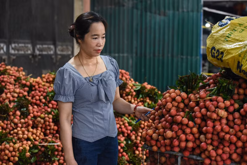 Foto de ilustración. (Fuente: VOV)