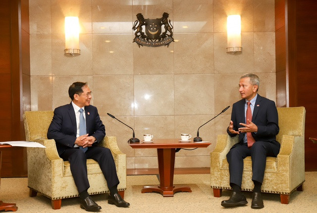 En la reunión. (Fotografía: Ministerio de Relaciones Exteriores de Vietnam)