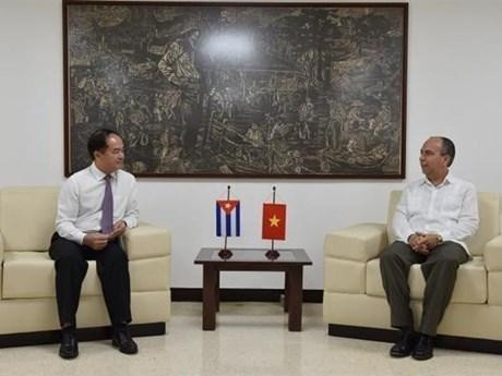 En la reunión. (Fotografía: VNA)
