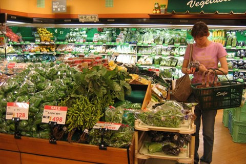 Varias hierbas vietnamitas como cilantro, albahaca, menta y perejil, se eliminan de la lista de control. (Fotografía: cand.com.vn)