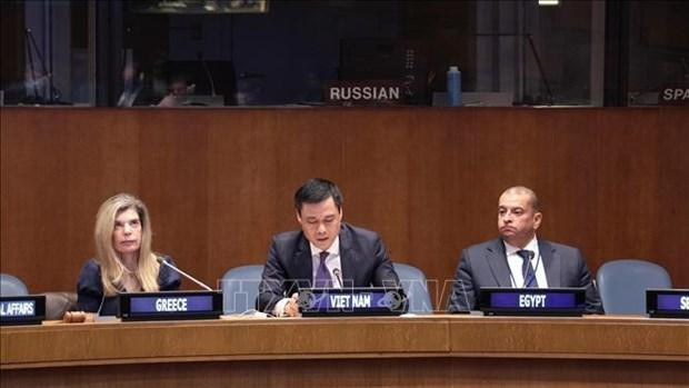El embajador Dang Hoang Giang, jefe de la misión permanente de Vietnam ante las Naciones Unidas. (Fotografía: VNA)