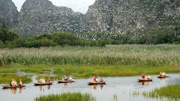 La reserva natural del humedal de Van Long. (Fotografía: VNA)