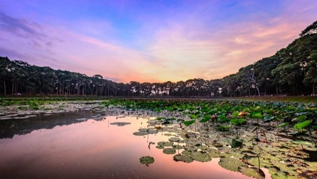 El estanque de Ba Om, en la provincia de Tra Vinh. (Fotografía: vtn.vn)
