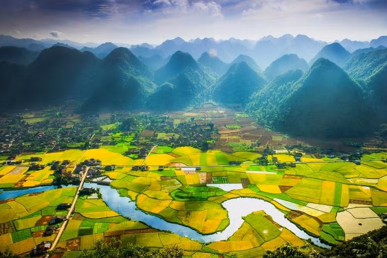 La temporada de cosecha, o temporada dorada, en el valle de Bac Son. (Fotografía: Anh Tuan)