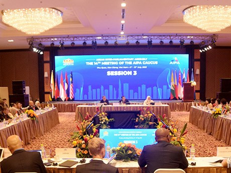 Panorama de la reunión. (Fotografía: VNA)