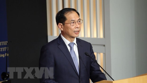 El ministro de Relaciones Exteriores de Vietnam, Bui Thanh Son. (Fotografía: VNA)