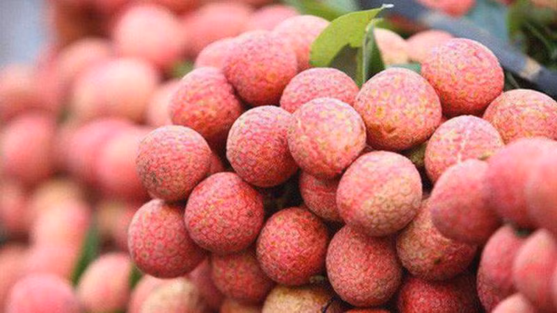 Foto de ilustración. (Fuente: vneconomy.vn)