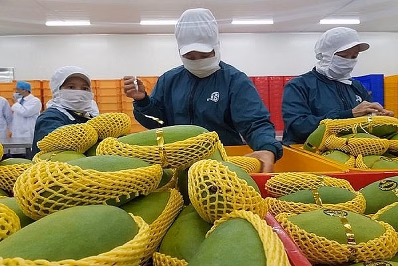 Foto de ilustración. (Fuente: thitruongvietnam.vn)