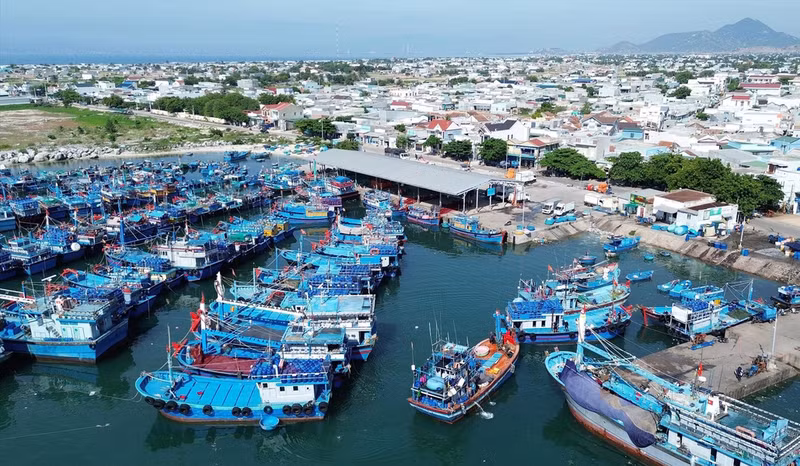 El puerto pesquero de My Tan (comuna de Thanh Hai, distrito de Ninh Hai, provincia de Ninh Thuan) se ha transformado de manera integral para satisfacer las necesidades de desarrollo económico marítimo de la localidad.