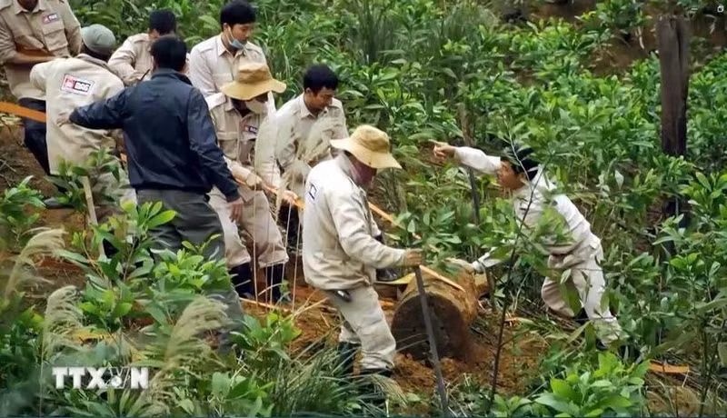 El personal de Mine Advisory Group maneja bombas remanantes de guerra en la provincia vietnamita de Quang Binh. (Fotografía: VNA)