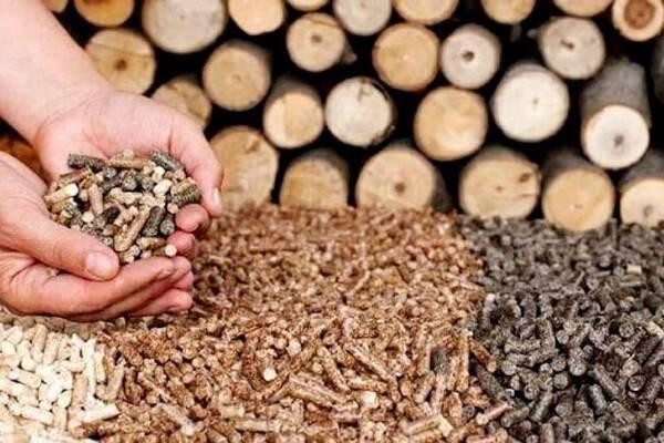 Exportaciones vietnamitas de productos de desecho forestal podrían recaudar fondo multimillonario. (Fotografía: baodautu.vn)