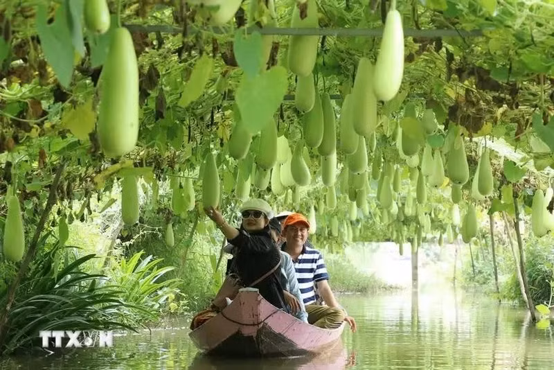 Foto de ilustración. (Fuente: VNA)